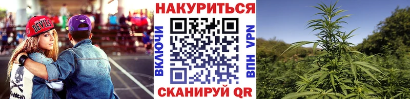 Марихуана OG Kush  магазин  наркотиков  Новошахтинск 
